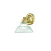 Majestic Square One Light Wall Sconce
