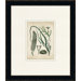 Fitch Sealife XI Wall Art