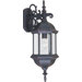 Builder Cast Large Outdoor Wall Lantern in Empire Bronze