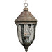 Whittier DC Outdoor Hanging Lantern in Earth Tone