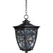 Newbury VX  Outdoor Hanging Lantern