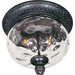 Carriage House VX  Outdoor Ceiling Mount