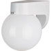 Side Door Medium  Outdoor Wall Lantern