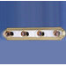 Maxim Vanity Light