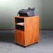 Mobile Fax Stand