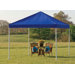Decorative 4 Leg Canopy 2" Frame