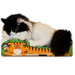 Small Tiger Recycled Paper Cat Scratching Board