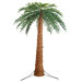 Palm Tree Large