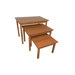 3 Piece Nesting Tables