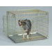 Two Door Gold Wire Dog Crate