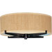 Elements 2 Light Flush Mount