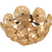 Cassini 8-Light Wall Sconce