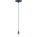 Carte 1 Light Pendant