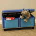 Boys Upholstered Storage Bench