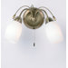 Downlight Wall Light in Antique Brass