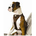 Tru Fit Smart Dog Harness in Brown / Tan