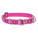 Puppy Love 1" Adjustable Large Dog Combo Collar