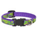 0.5" Adjustable Dog Collar