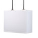 Rex 2 Light Pendant