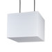 Rex 2 Light Pendant