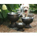 Belmont Dog Raised Feeder