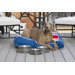 Bowery Dog Dish
