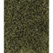 Anubis Rug