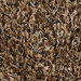 Zara Light Brown Rug