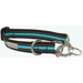 Fiji Martingale Dog Collar