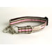 Kona Stripe Martingale Dog Collar