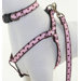 Strawberry Shake Dog Harness