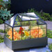 Rectangular Terrarium