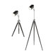 Floor and Table Lamp Set