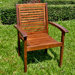 Acacia Patio Contemporary Dining Arm Chair