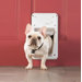 Smart Door