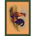 Fall Seasonal Rise and Shine Rooster Novelty Rug