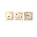 Floral Trail Trio  Printed Canvas Art - 16" X 16" (Set of 3)
