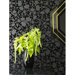 Barbara Hulanicki Flock Skulls Wallpaper in Black