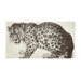 Jaguar Cotton Voile Scarf in Java