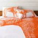 Lion Shams (Set of 2)