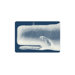 Whale Tray (Set of 2)