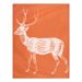 Baby Alpaca Deer Throw