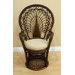 Peacock Rattan Fabric Arm Chair