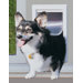 Medium Modular Patio Panel Pet Door