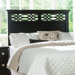 Carson Panel Headboard