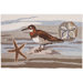 Coastal Collage Novelty Rug