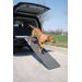 Folding Pet Ramp in Graphite
