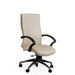Endure High-Back Executive Managerial Chair with Arms
