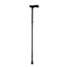 Folding Cane