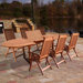 Vista 7 Piece Dining Set